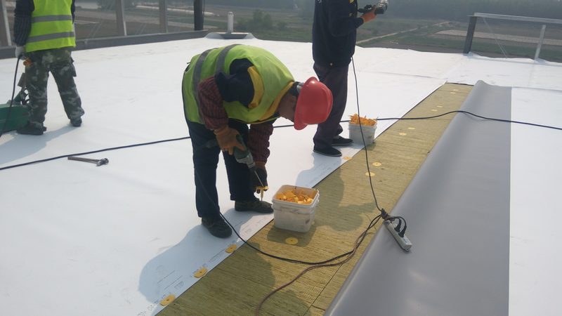 外墙防水施工，刷几遍才是关键？揭秘防水涂料施工要点**